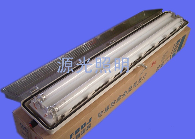 供应广东防爆防腐全塑荧光灯